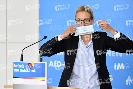 Pressestatement der AfD in Berlin
