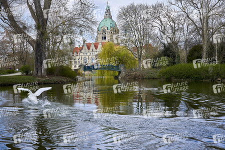 Das Neue Rathaus in Hannover