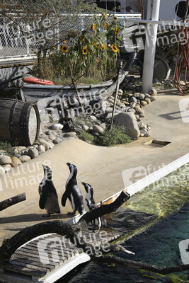 'Welt-Pinguin-Tag / World Penguin Day'-Bodypainting