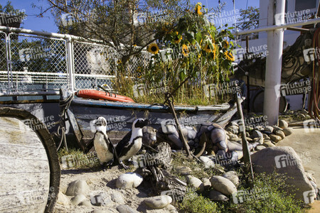 'Welt-Pinguin-Tag / World Penguin Day'-Bodypainting