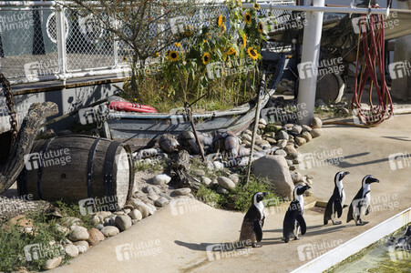 'Welt-Pinguin-Tag / World Penguin Day'-Bodypainting