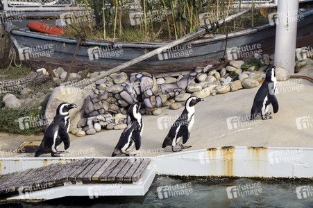 'Welt-Pinguin-Tag / World Penguin Day'-Bodypainting