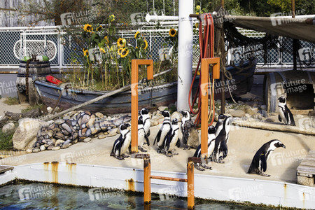 'Welt-Pinguin-Tag / World Penguin Day'-Bodypainting