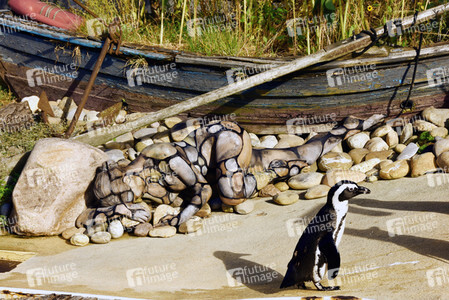 'Welt-Pinguin-Tag / World Penguin Day'-Bodypainting