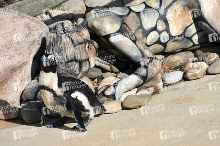 'Welt-Pinguin-Tag / World Penguin Day'-Bodypainting