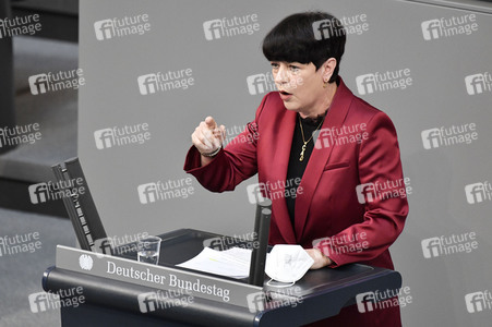 223. Sitzung des Deutschen Bundestages in Berlin