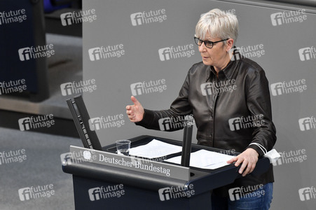 223. Sitzung des Deutschen Bundestages in Berlin