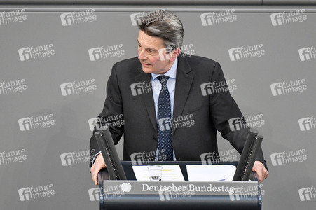 223. Sitzung des Deutschen Bundestages in Berlin