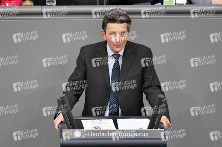 223. Sitzung des Deutschen Bundestages in Berlin