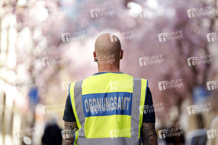 Symbolfoto Bonner Kirschblüte