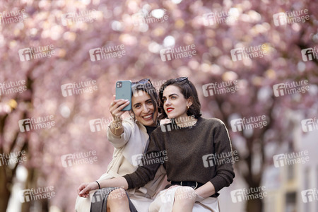 Symbolfoto Bonner Kirschblüte