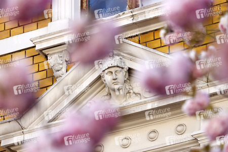 Symbolfoto Bonner Kirschblüte