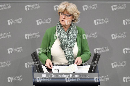 225. Sitzung des Deutschen Bundestages in Berlin