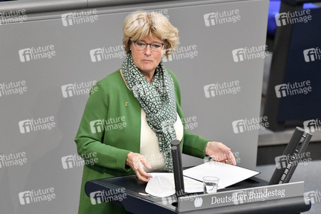 225. Sitzung des Deutschen Bundestages in Berlin