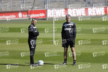 Training des 1. FC Köln