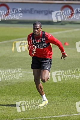 Training des 1. FC Köln