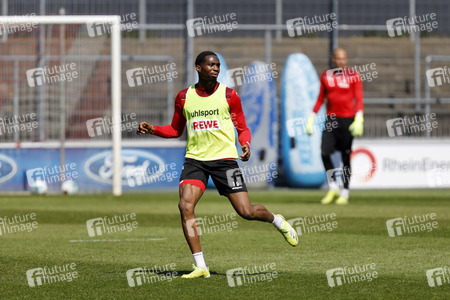 Training des 1. FC Köln
