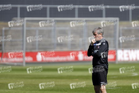 Training des 1. FC Köln