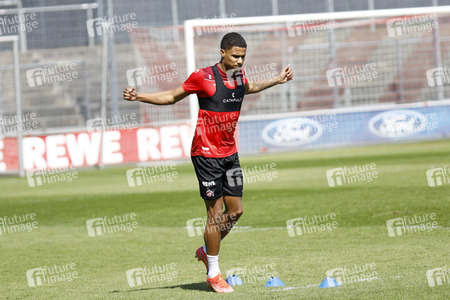 Training des 1. FC Köln