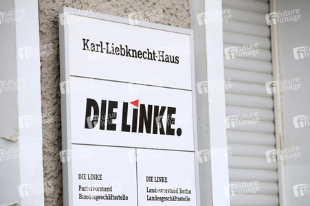Symbolfoto Die Linke