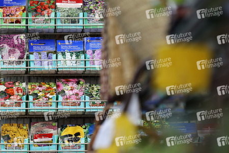 Symbolfoto Blumensamen