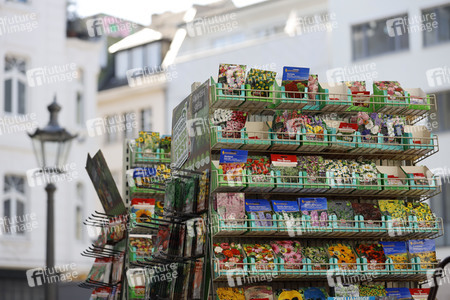 Symbolfoto Blumensamen