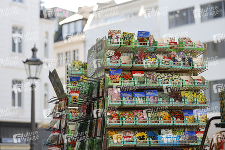 Symbolfoto Blumensamen