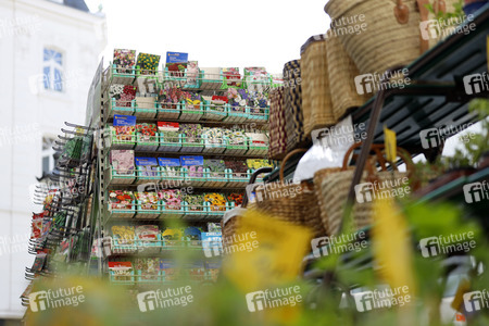 Symbolfoto Blumensamen