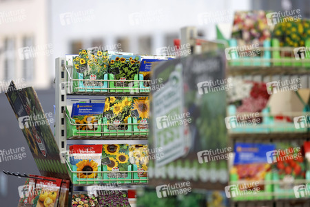 Symbolfoto Blumensamen