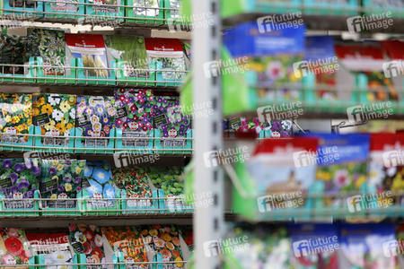 Symbolfoto Blumensamen