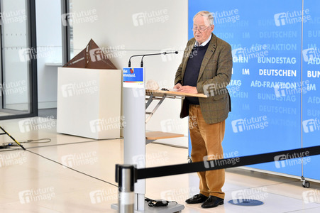 Pressestatement der AfD in Berlin