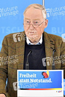 Pressestatement der AfD in Berlin