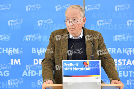 Pressestatement der AfD in Berlin