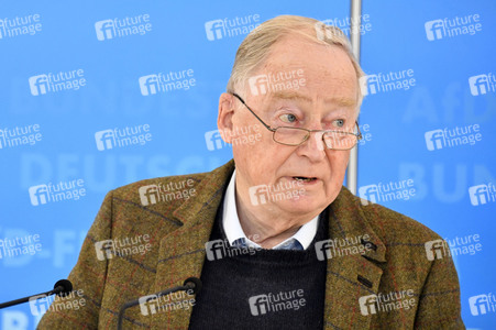 Pressestatement der AfD in Berlin