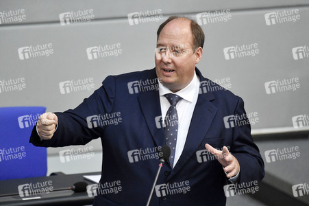 226. Sitzung des Deutschen Bundestages in Berlin