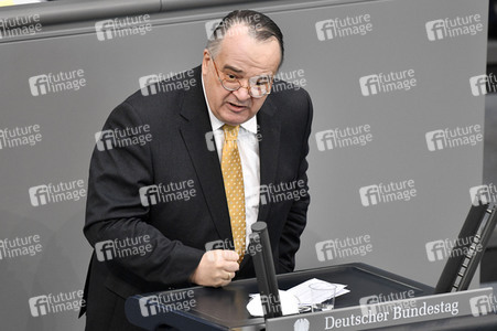 226. Sitzung des Deutschen Bundestages in Berlin