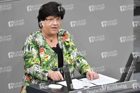 226. Sitzung des Deutschen Bundestages in Berlin