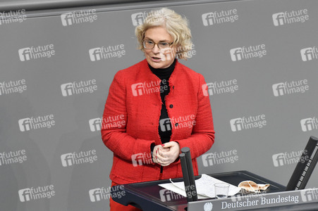 227. Sitzung des Deutschen Bundestages in Berlin