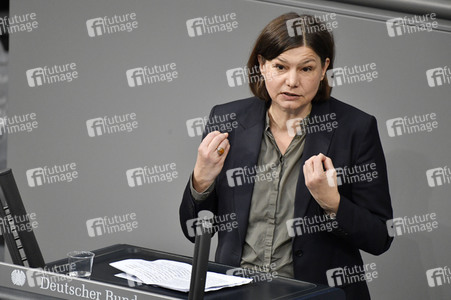 227. Sitzung des Deutschen Bundestages in Berlin