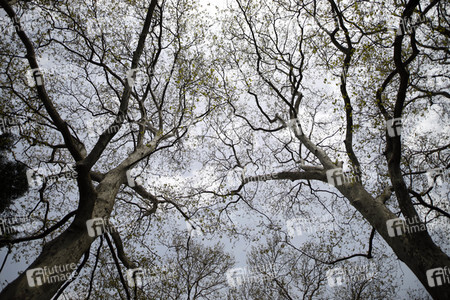 Der Melaten Friedhof in Köln