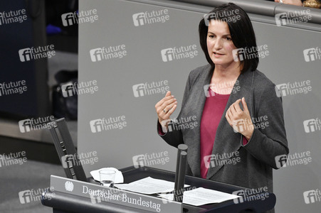 228. Sitzung des Deutschen Bundestages in Berlin