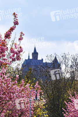 Schloss Wernigerode in Wernigerode