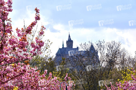 Schloss Wernigerode in Wernigerode