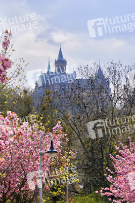 Schloss Wernigerode in Wernigerode