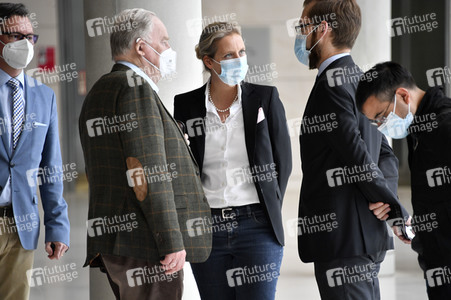 Pressestatement der AfD in Berlin