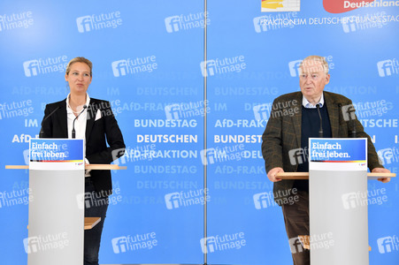 Pressestatement der AfD in Berlin