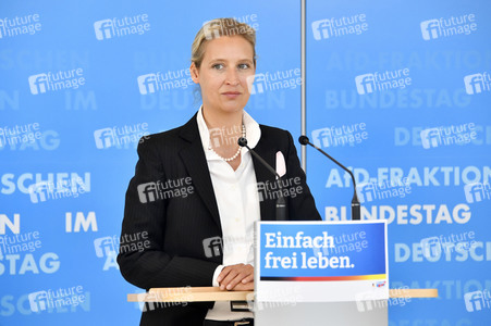 Pressestatement der AfD in Berlin