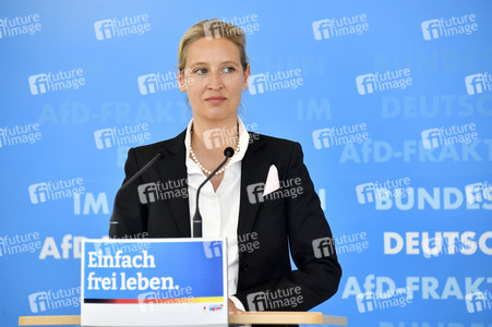 Pressestatement der AfD in Berlin