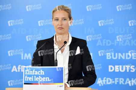 Pressestatement der AfD in Berlin