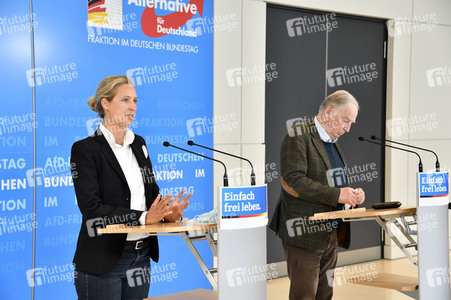Pressestatement der AfD in Berlin